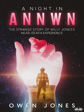 The book cover of A Night In Annwn by Owen Jones