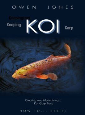 Koi carp book cover
