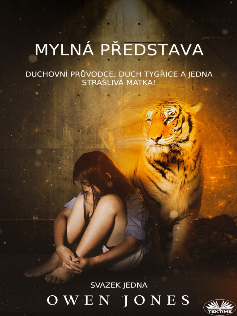 Book cover: The Misconception in Czech