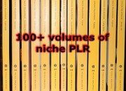 Children's Uses For the Internet and PLR Articles
