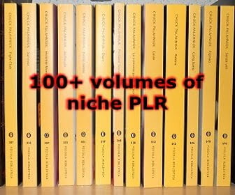 How to Make the Most of a PLR Bundle.